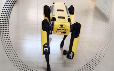 Introducing Golda… The Robotic Guide Dog
