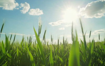 Eco-Friendly Alternative to Pesticides